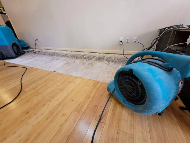 Reliable Basement Flood Cleanup contractor in Pittsfield, NH by Hirex Water Damage