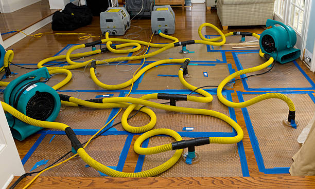 Professional Basement Flood Cleanup technician working in Pittsfield, NH